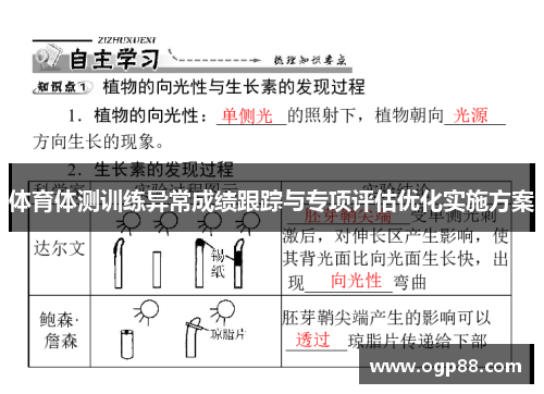 体育体测训练异常成绩跟踪与专项评估优化实施方案